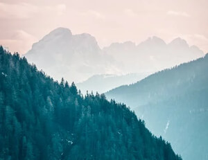 风姿族:慢热不吉高急贵池不希